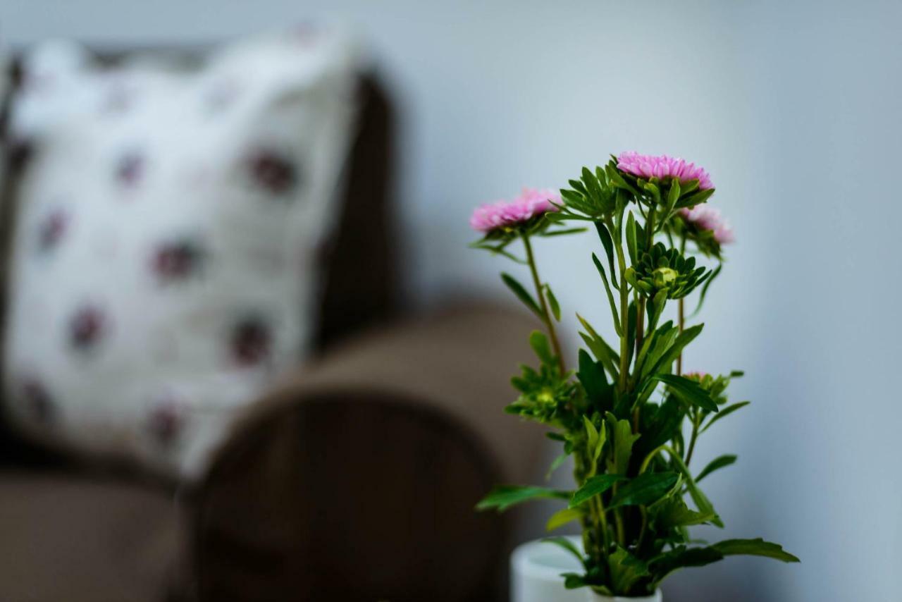 Leona Apartments Dubrownik Zewnętrze zdjęcie